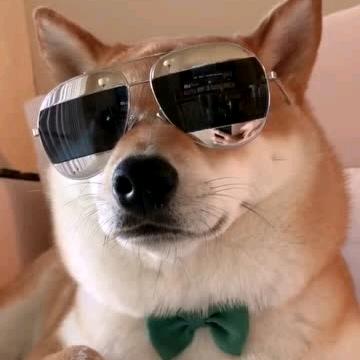 雾里看花哈哈哈