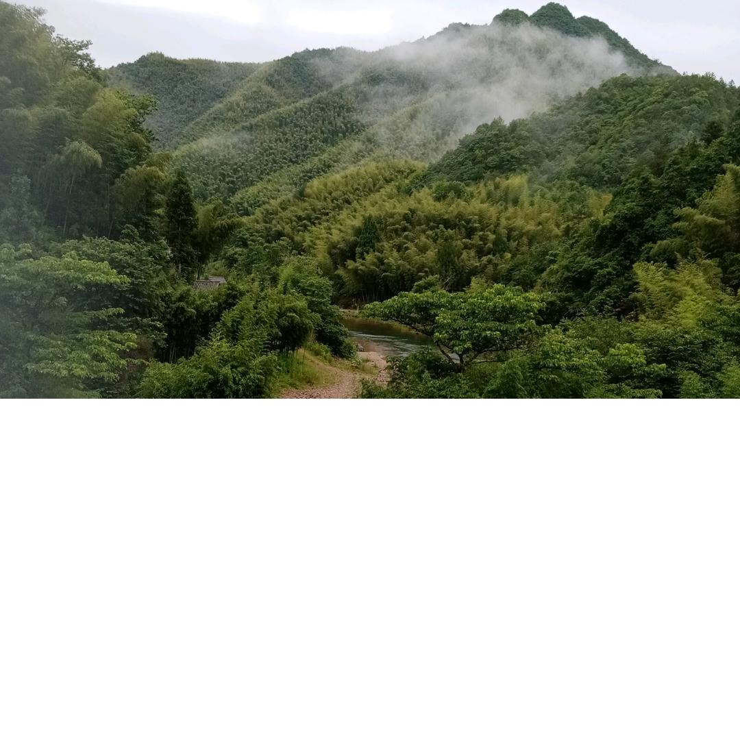 梦想