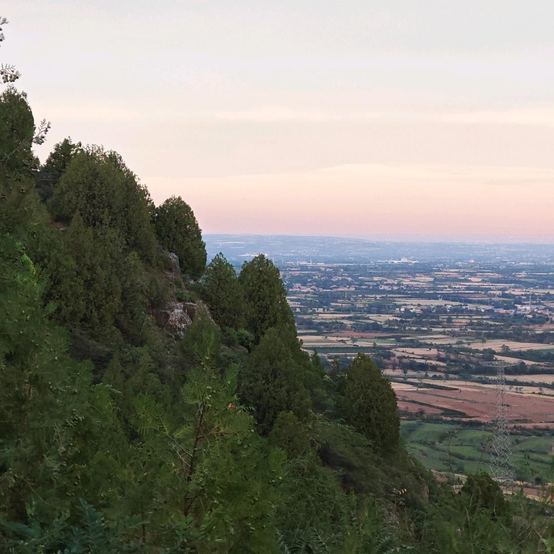 山河锦绣（猪哥）
