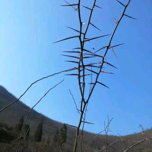 每天笑哈哈