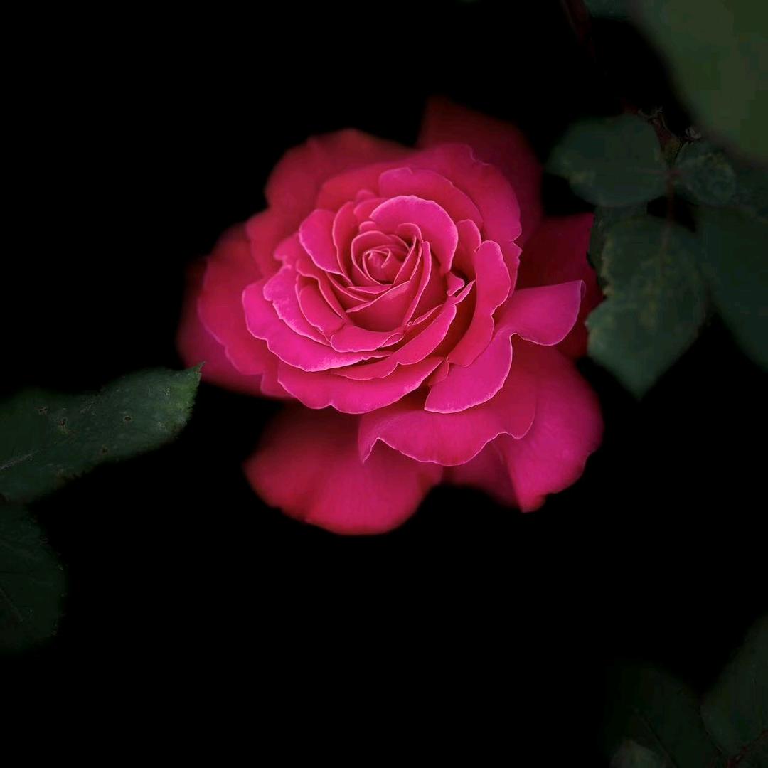 平安💞喜乐¹ᶟ¹⁴