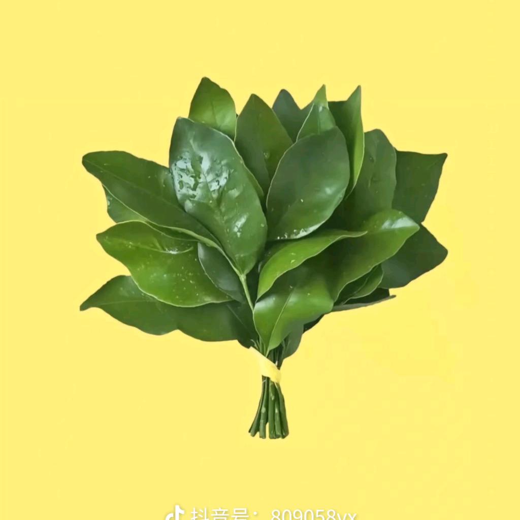 🇨🇳蒋美人。 China