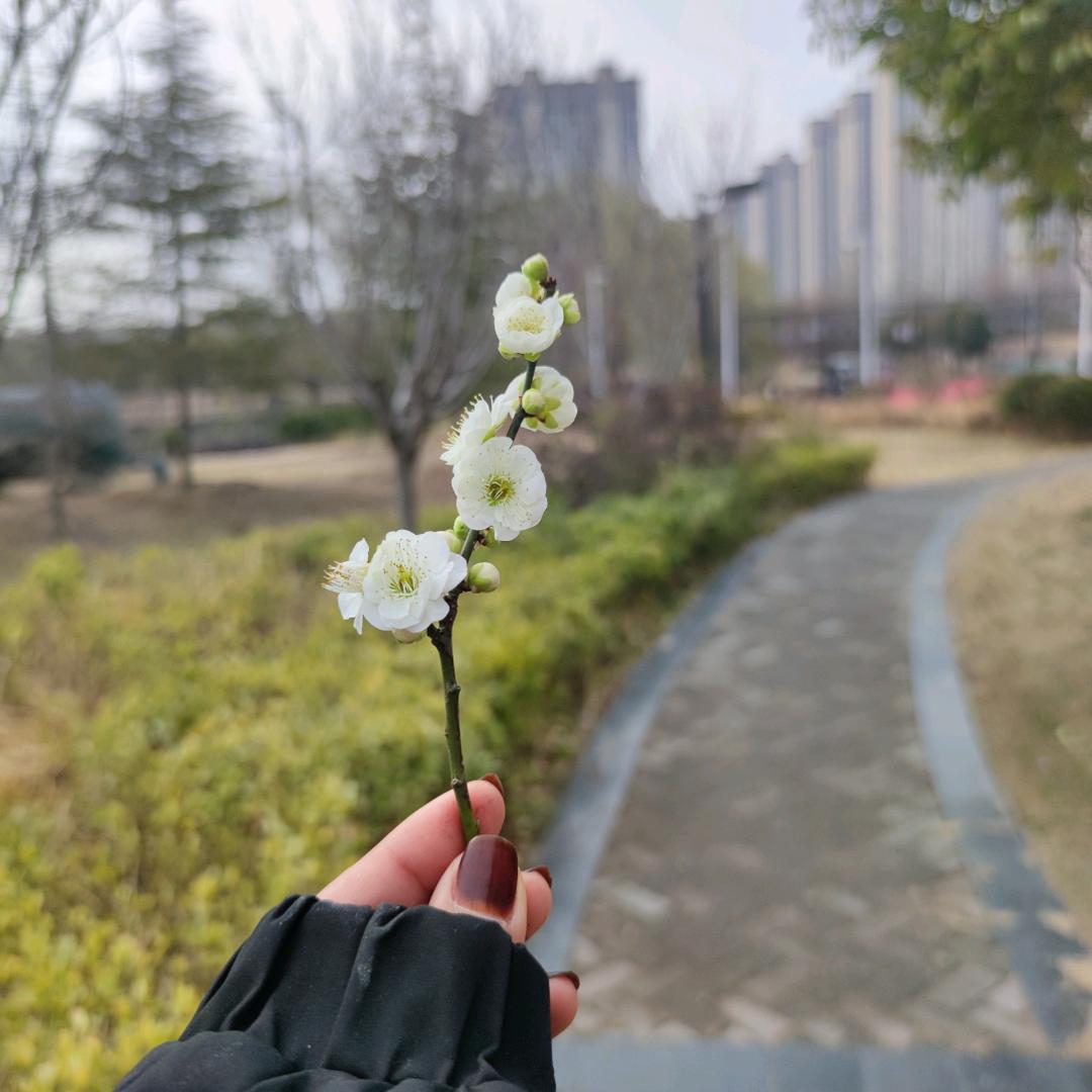 💞᭄᪲ᩚ꯭Miss.靜💋এ