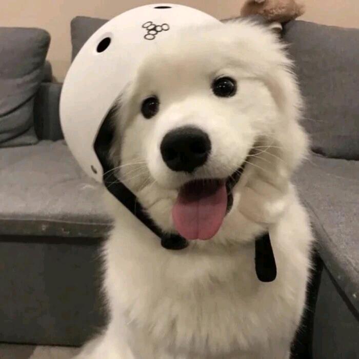 我爱大灯