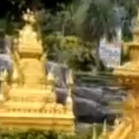 鑫鑫悦