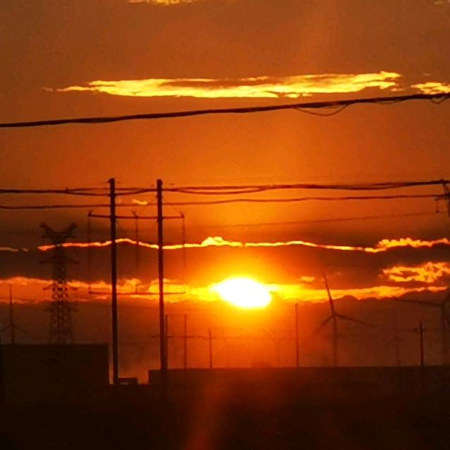 爱上树的微胖子