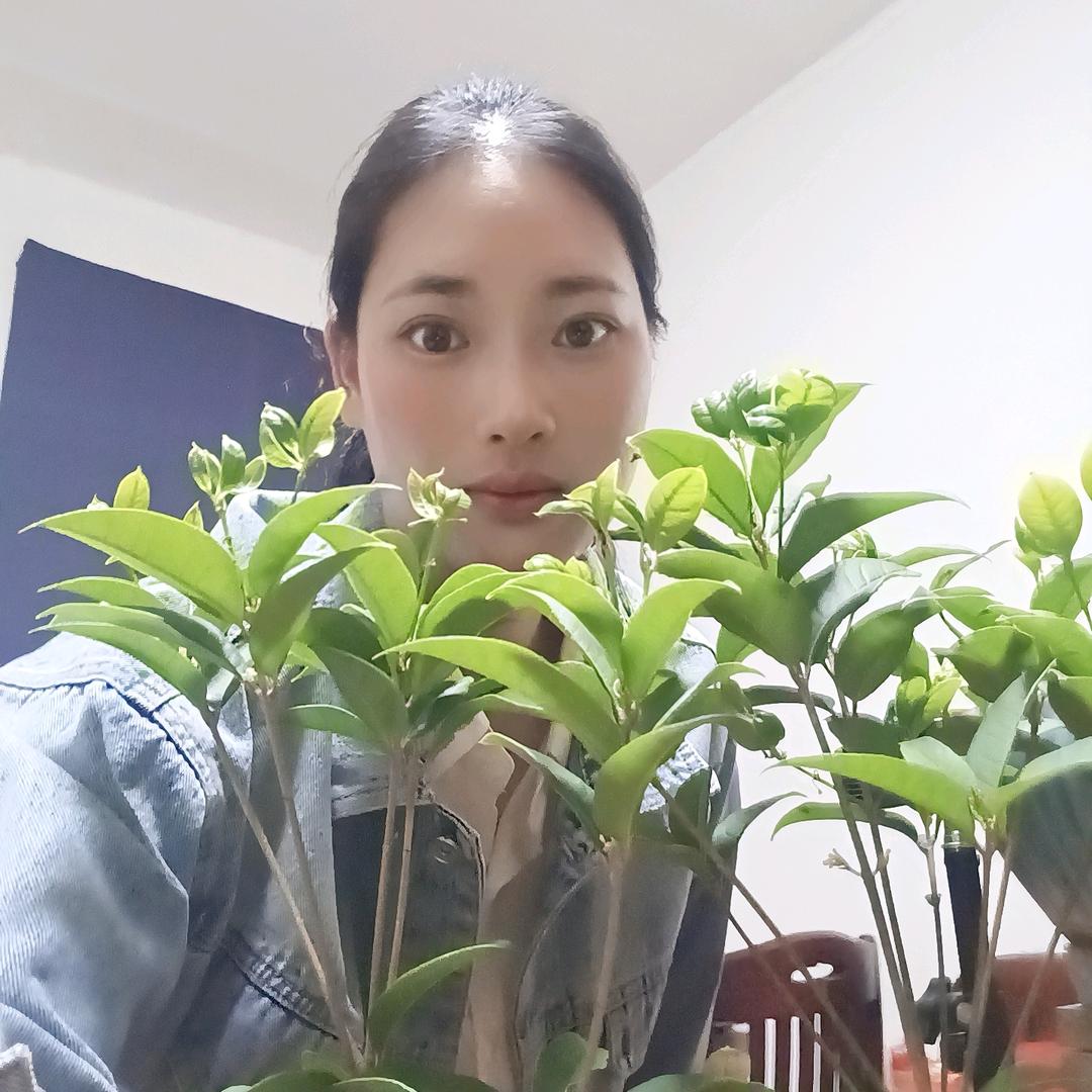 🥀🥀“心凉如初”🥀🥀