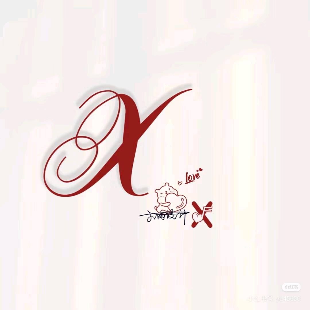 小新Y