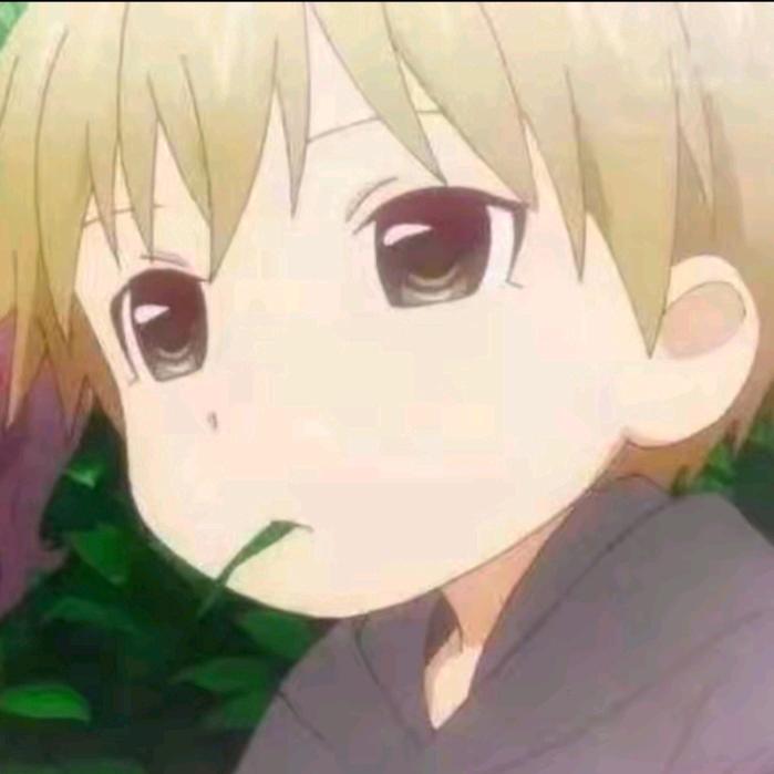迪迪不畏