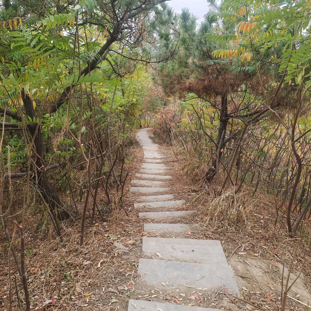 卖水饺的小姐姐