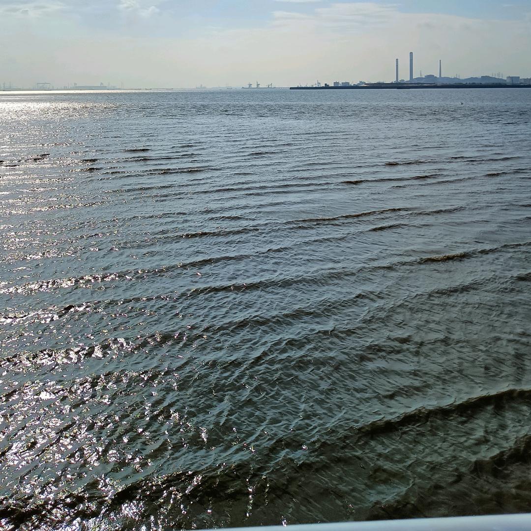 唐僧洗头用飘柔%