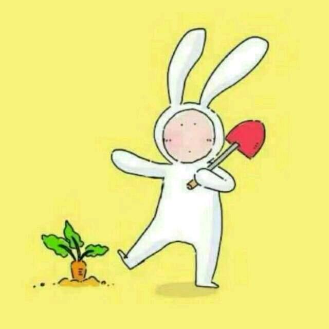 🌈迷路的小兔子呀