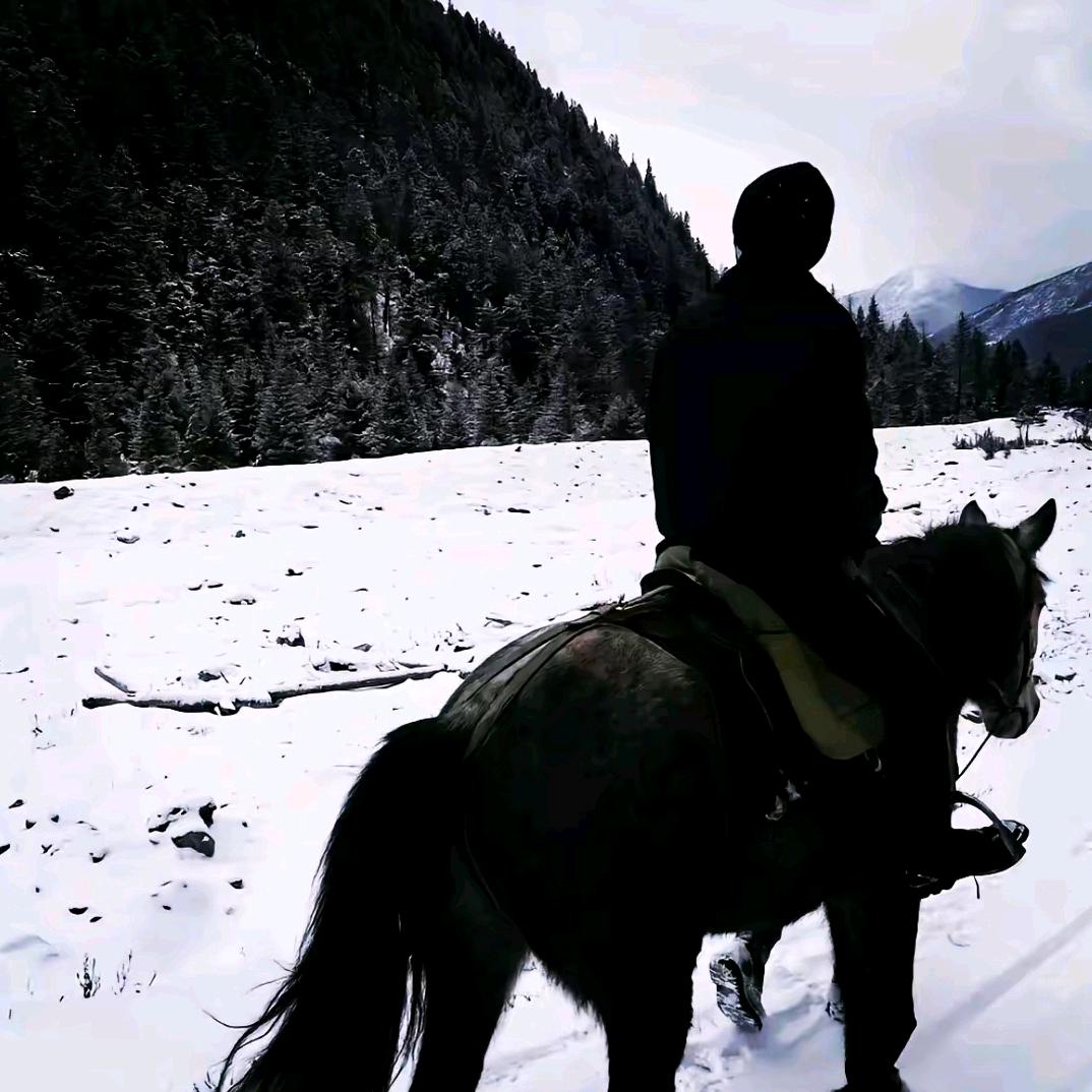 宁鑫-