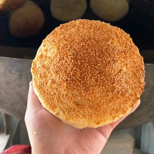 皮村梅干菜扣肉饼