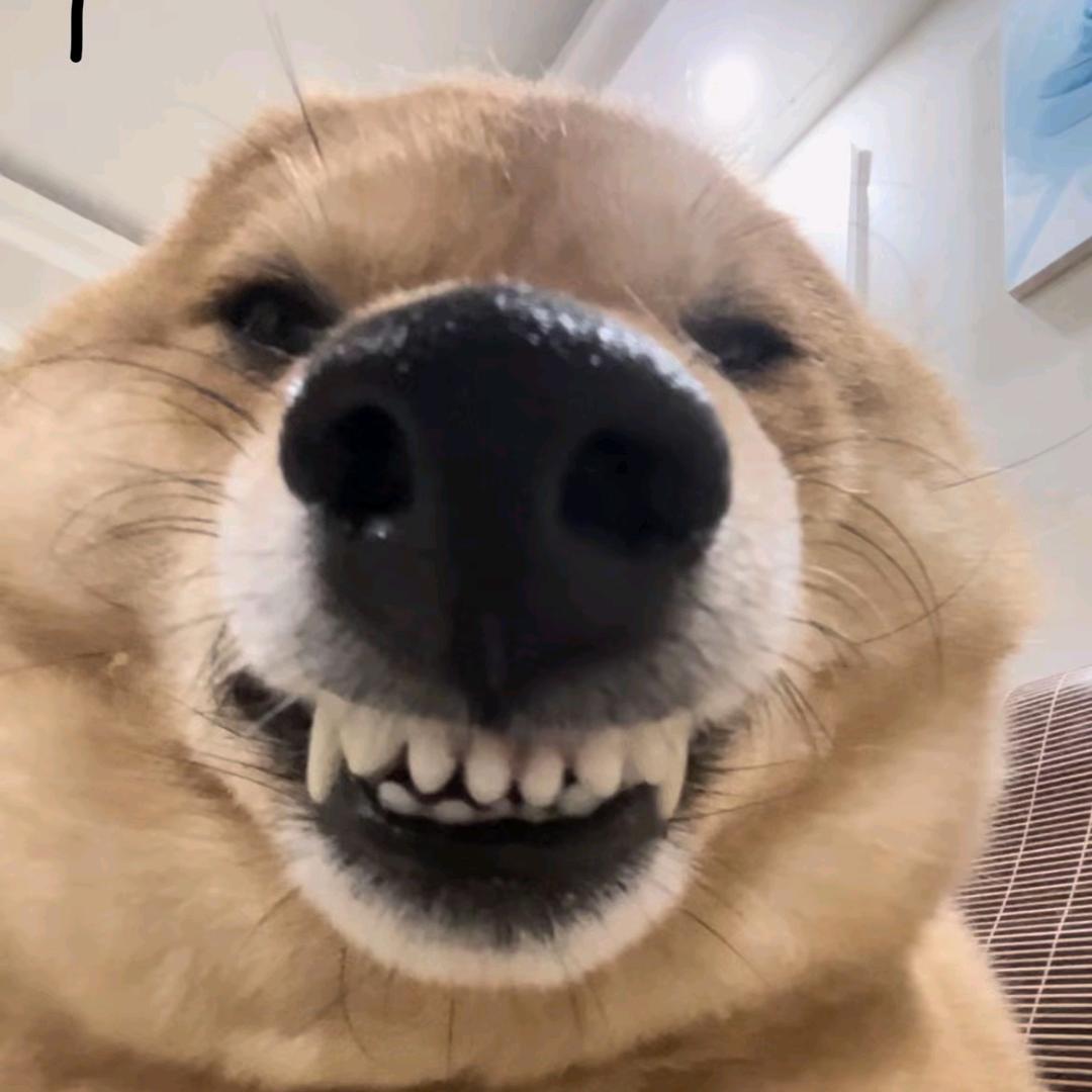 博才哥