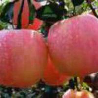 好人一生幸福1888