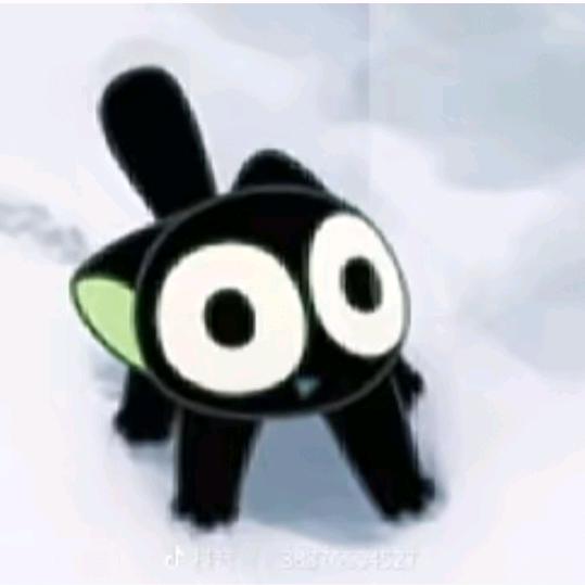 枫
