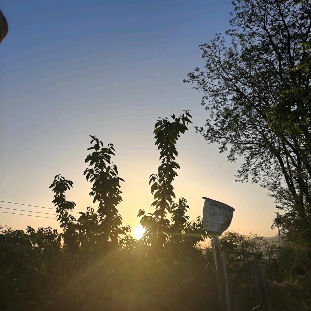 高原雄鹰（HDL）