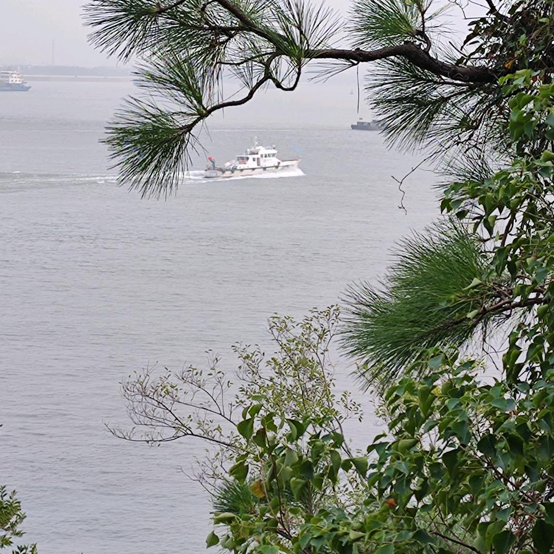 十里花香💃💃🎊🕺🕺