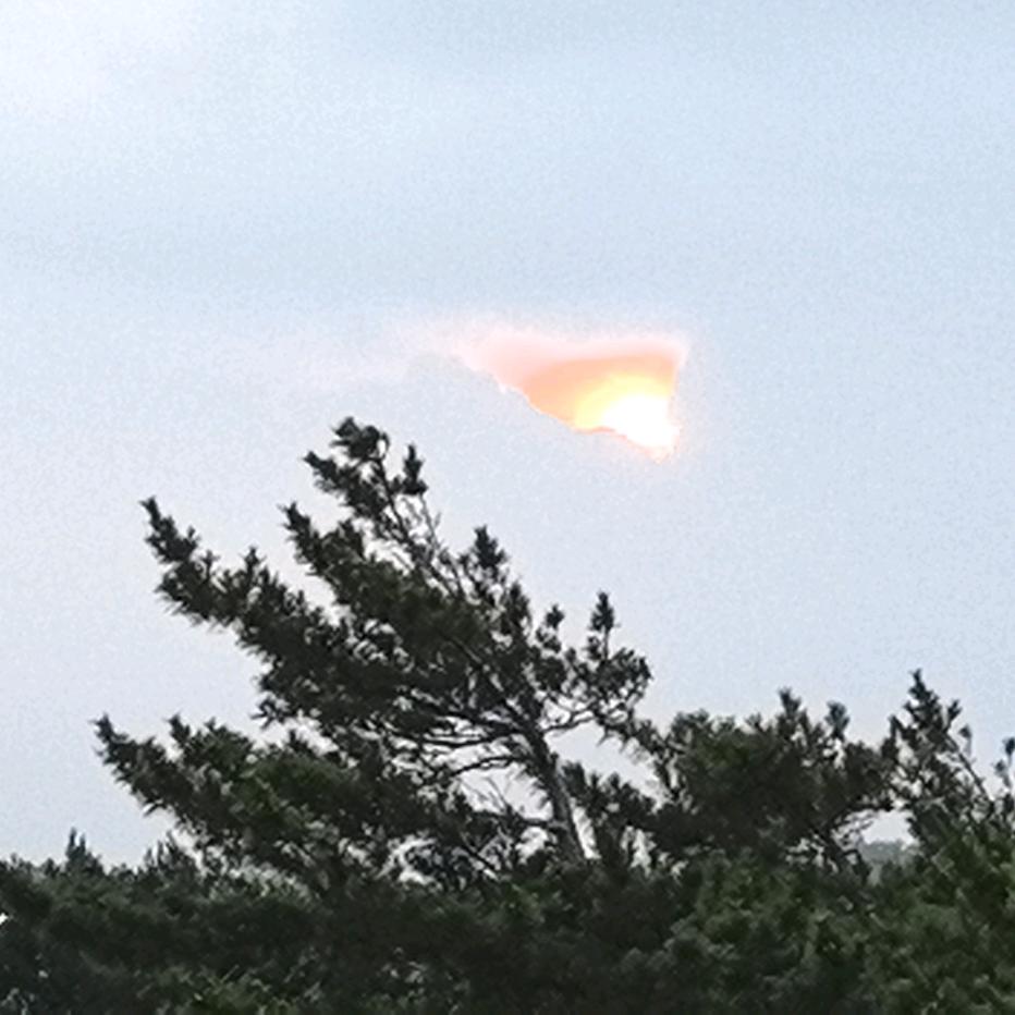 仔仔陪你探索世界