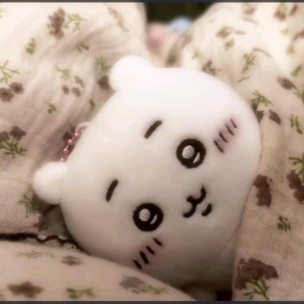 磊子