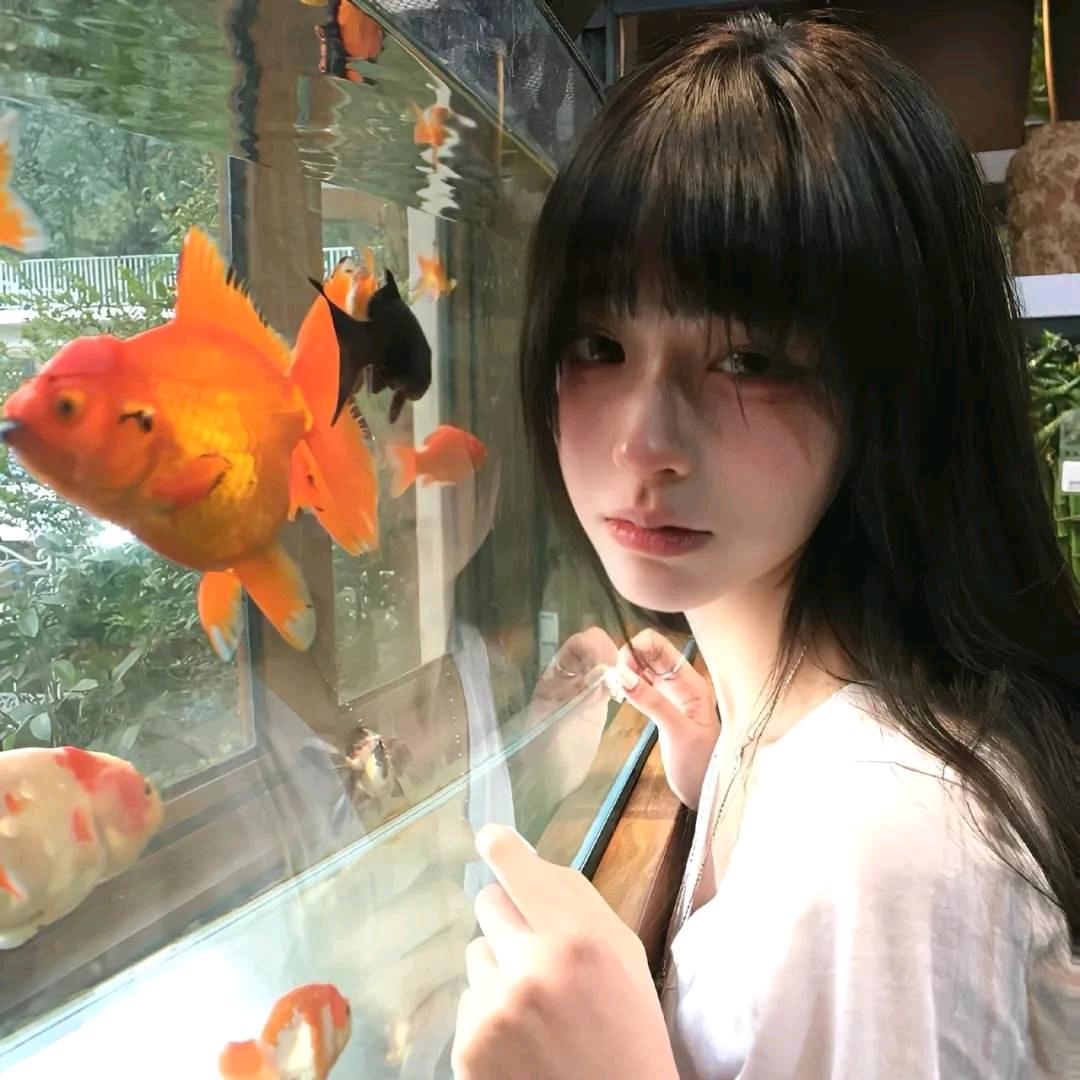 暴走小咩
