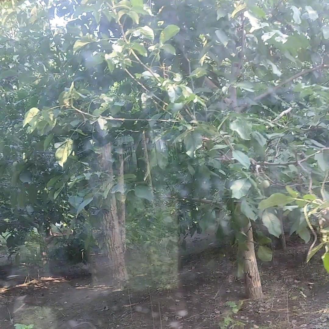 做个不平凡的人