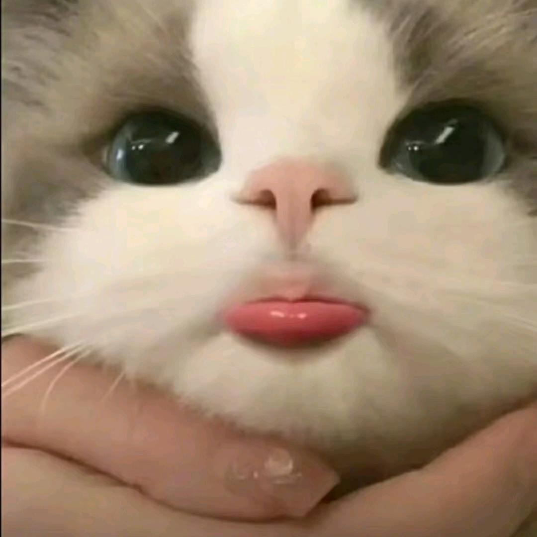 下了小小雨