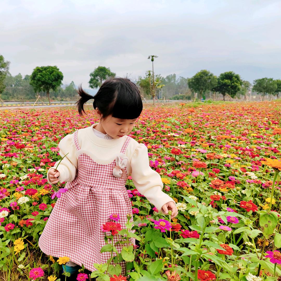 英子记录日常