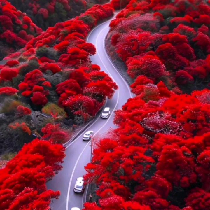 我愛大家