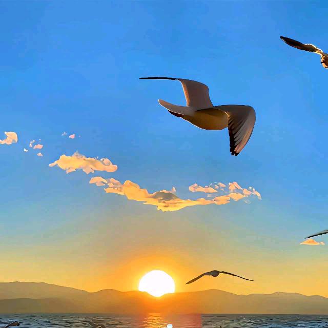 两百斤的有钳人