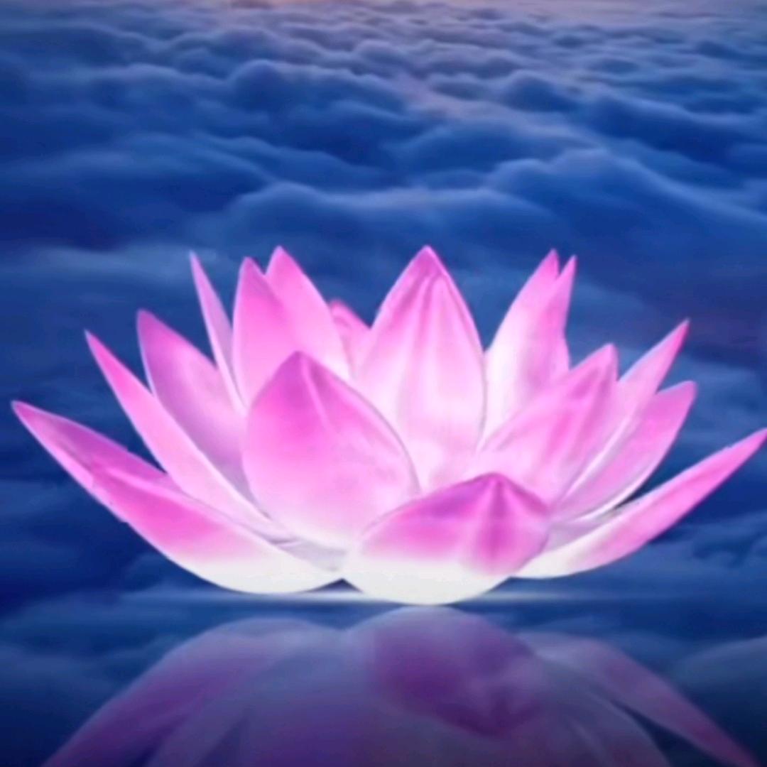 欢喜自在