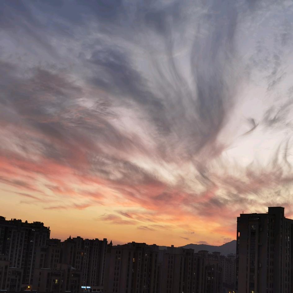 三石徐美菊莲花队