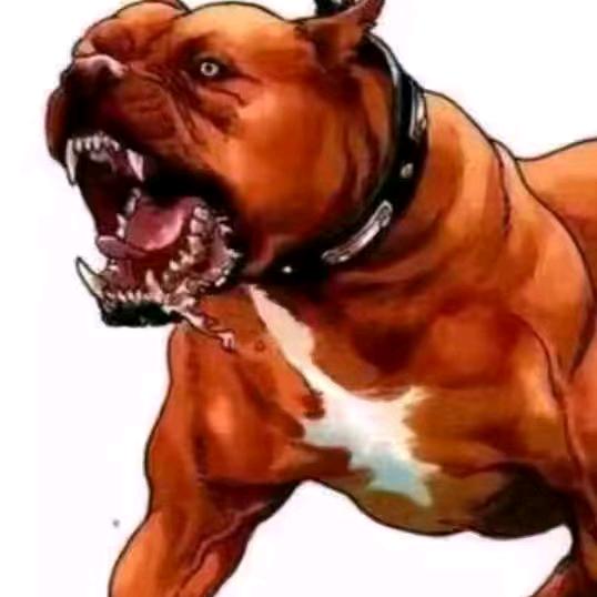 路漫漫，其修远兮。。