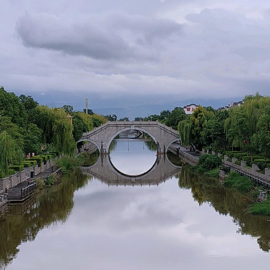 ༶༶⁺₊🥬9⃣️4⃣️🐮🐴₊⁺༶༶