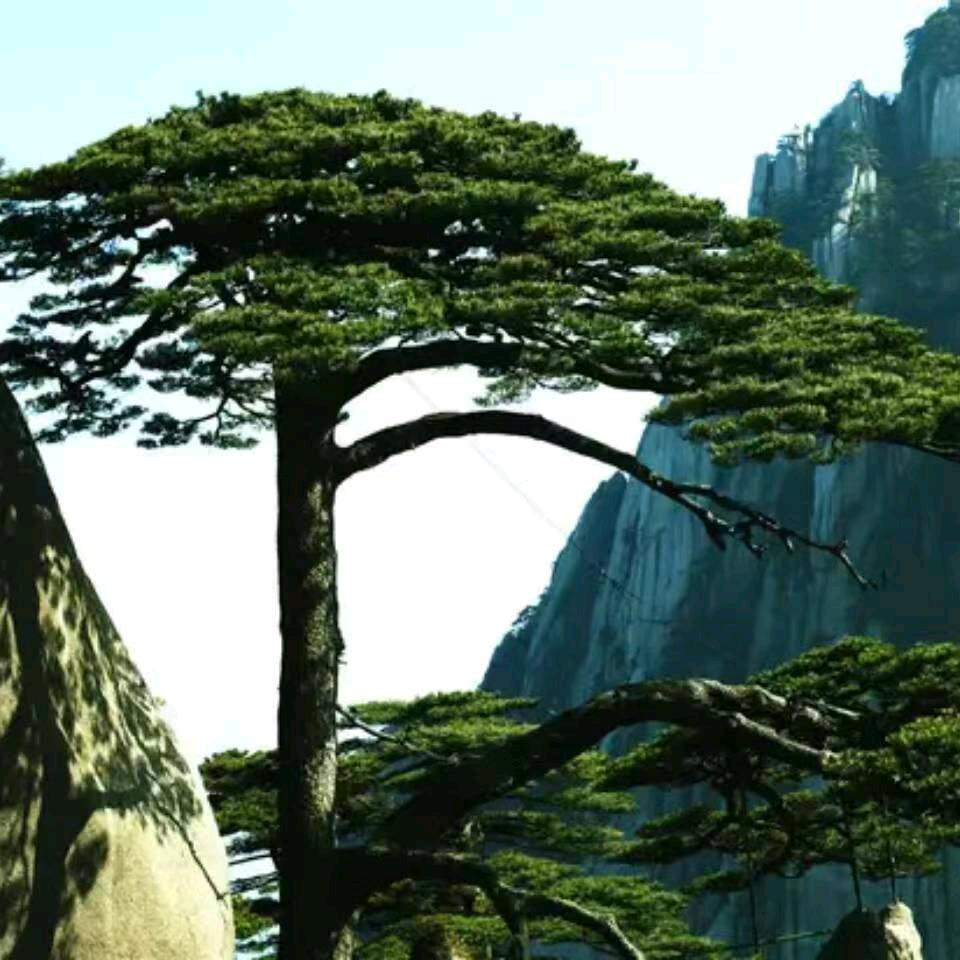 事业🚴🏻有成