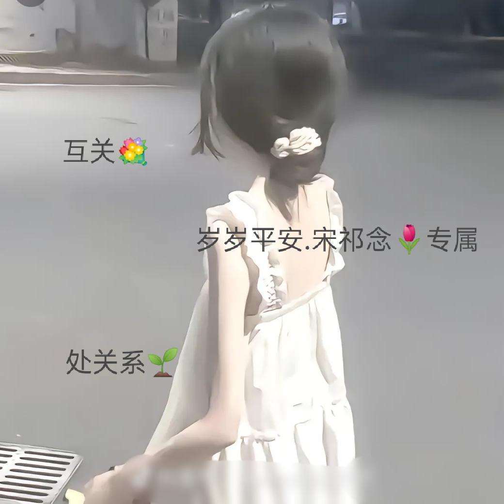 岁岁平安.宋祁念🌷