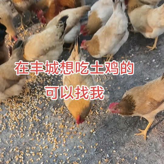 丰城市宏辉垂钓休闲场