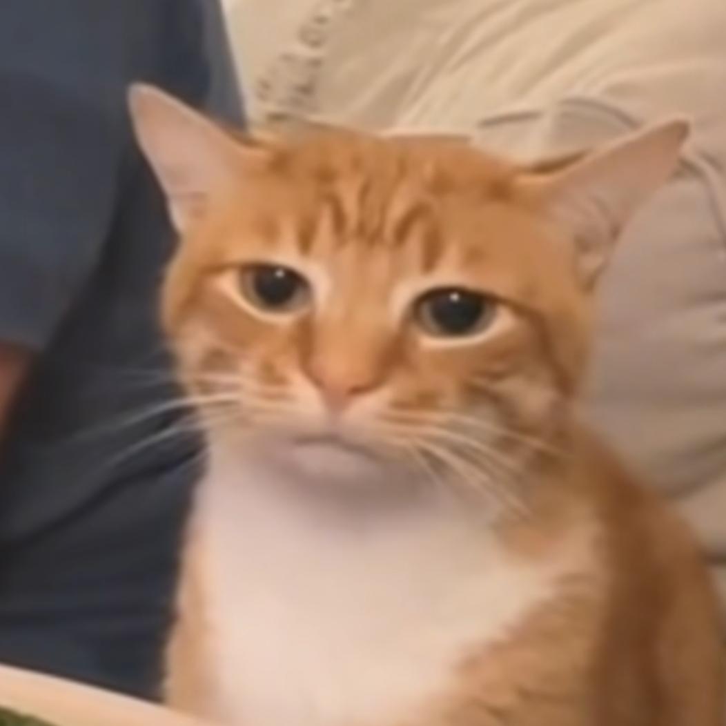 蟹头像