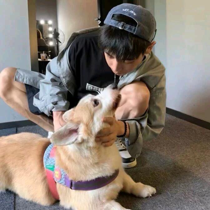 秋刀🐟