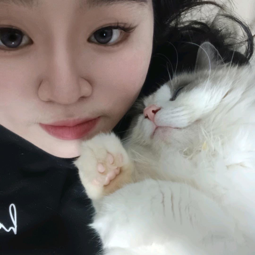 等爱的玫瑰🌹