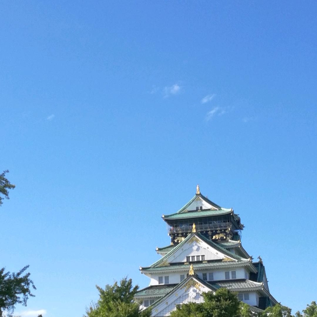 晨曦优选