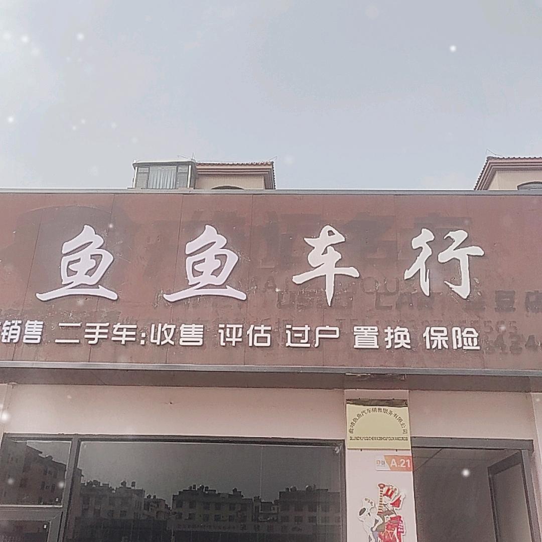 曲靖鱼鱼名车（老鱼）