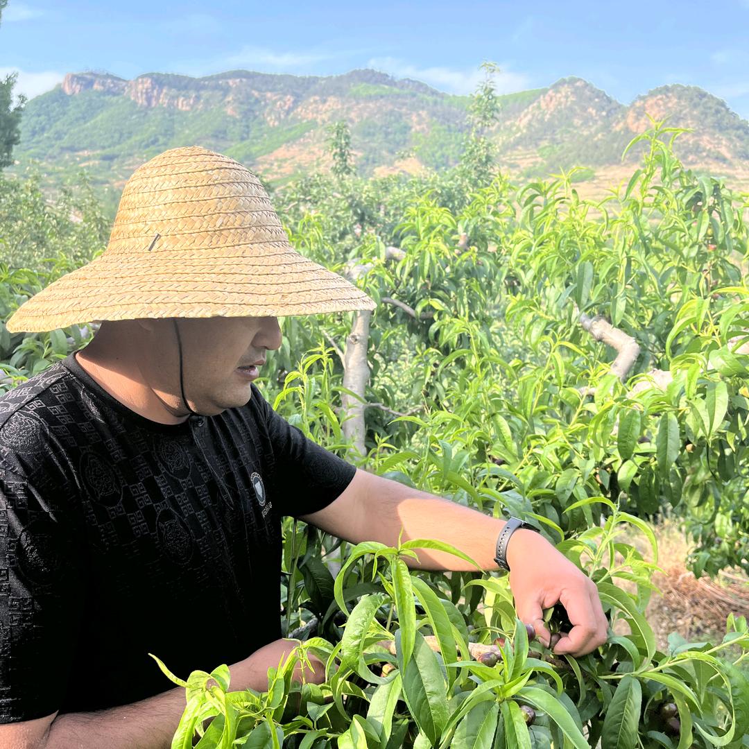 禾木鲜生