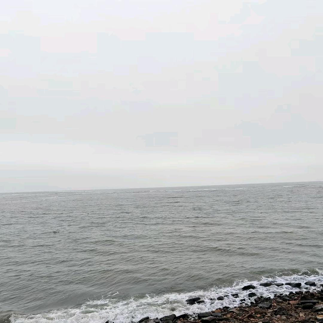 每天随着❤️情走。