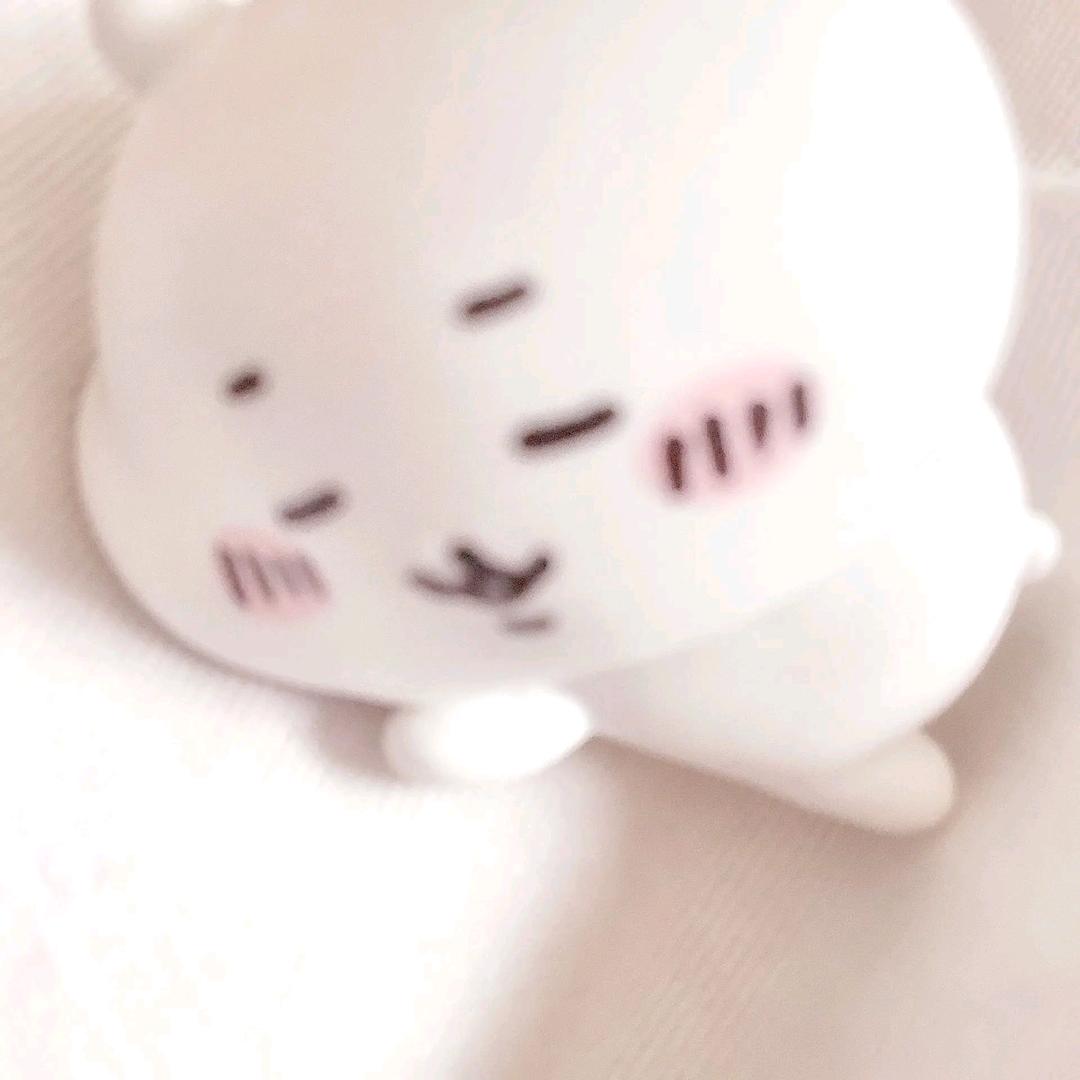 >ᴗoಣ