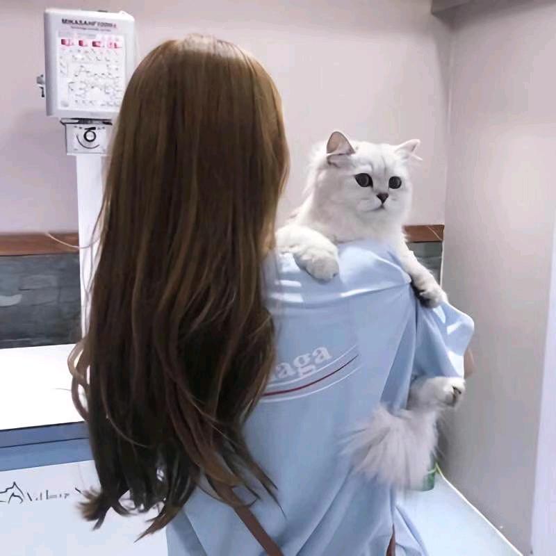 贝微微