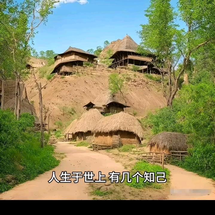 大树，一帆风顺