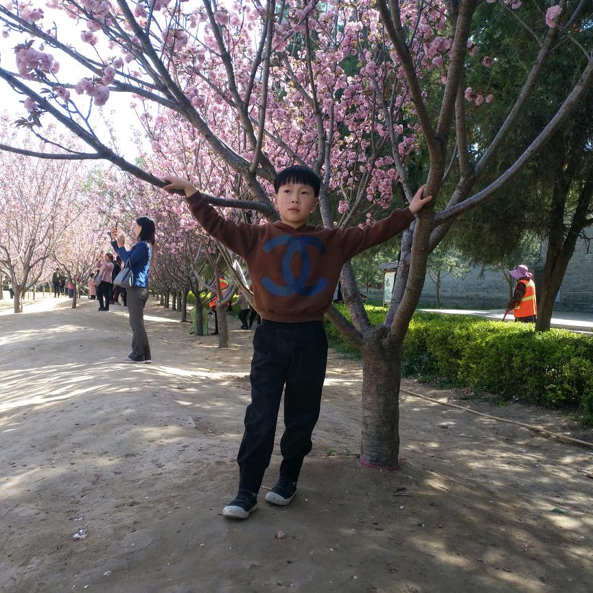 河南..闹闹（818）郸城