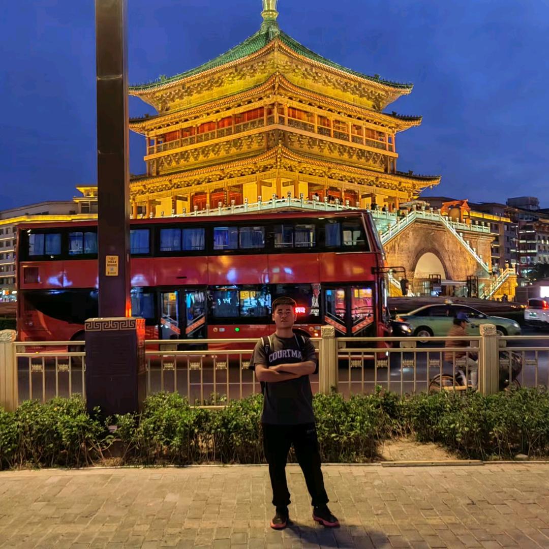 释槐鸟🐦